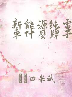 新能源纯电动汽车什么牌子好