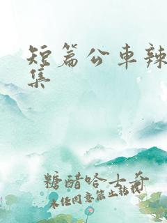 短篇公车辣文合集