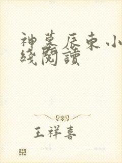神墓辰东小说在线阅读