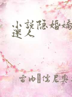 小说隐婚娇妻太迷人