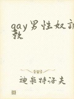 gay男性奴调教