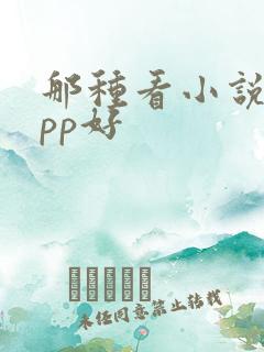 那种看小说的app好 那种看小说的app好
