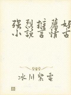 强烈推荐好看的小说言情古言