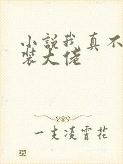 小说我真不是女装大佬