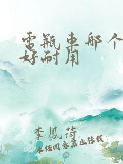 电瓶车哪个牌子好耐用