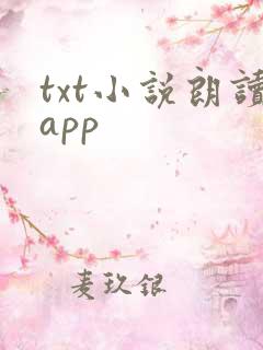 txt小说朗读app