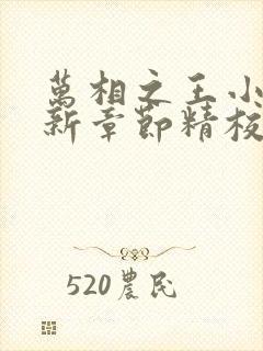万相之王小说最新章节精校版