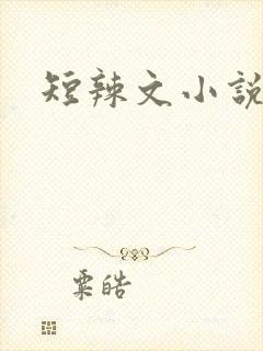短辣文小说合集