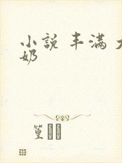 小说 丰满 大奶
