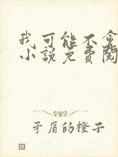 我可能不会爱你小说免费阅读