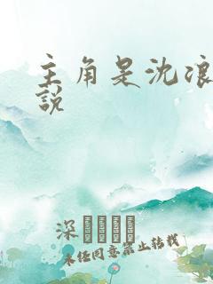 主角是沈浪的小说