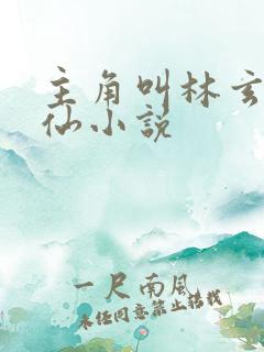主角叫林玄的修仙小说 主角叫林玄的修仙小说