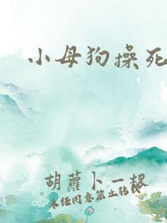 小母狗操死你h