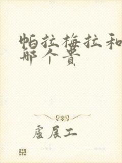 帕拉梅拉和卡宴哪个贵
