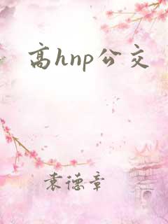 高hnp公交