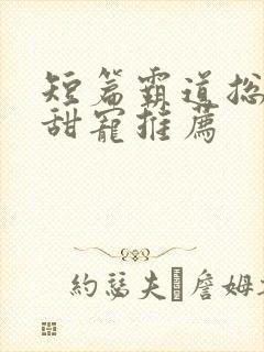 短篇霸道总裁文甜宠推荐