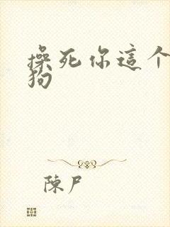 操死你这个小母狗