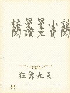 林曼曼小说全文阅读免费阅读全文