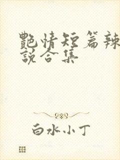 艳情短篇辣文小说合集