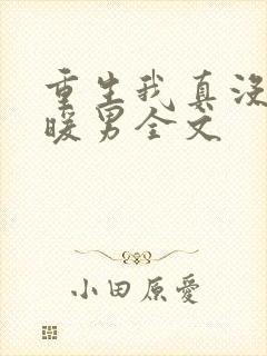 重生我真没想当暖男全文