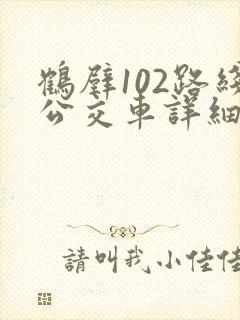 鹤壁102路线公交车详细路线图