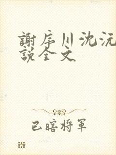 谢序川沈沅珠小说全文