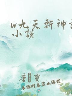 w九天斩神诀》小说