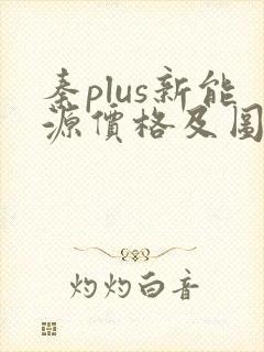 秦plus新能源价格及图片报价