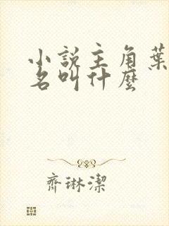 小说主角叶凡书名叫什么