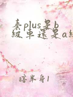 秦plus是b级车还是a级