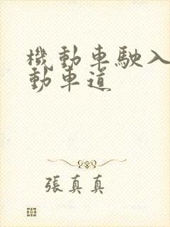 机动车驶入非机动车道