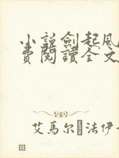 小说剑起风云免费阅读全文