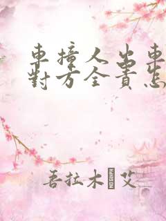 车撞人出车祸了对方全责怎么赔偿
