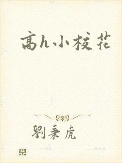 高h小校花