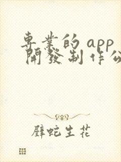 专业的 app 开发制作公司