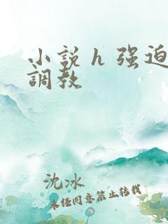 小说 h 强迫调教