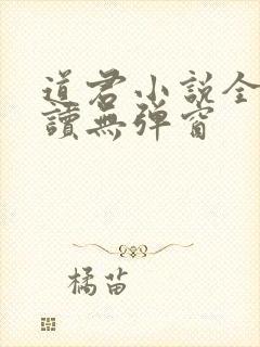 道君小说全文阅读无弹窗