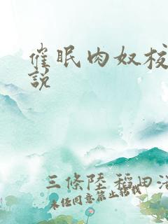 催眠肉奴校花小说