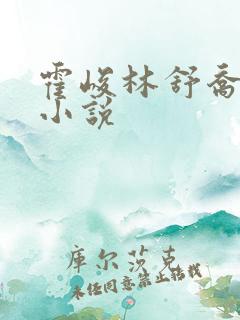 霍峻林舒乔林满小说