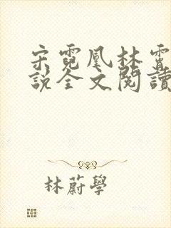 宋霓凰林霄泽小说全文阅读