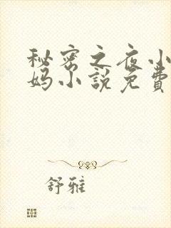 秘密之夜小宇后妈小说免费阅读全文