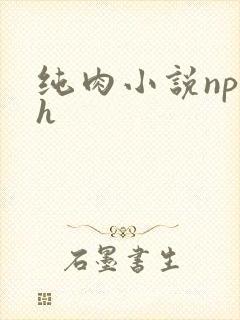 纯肉小说np高h