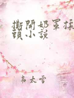 撕开奶罩揉吮奶头小说