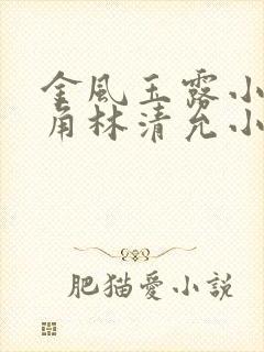 金风玉露小说主角林清允小诚