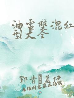 油电双混红旗车型大全 油电双混红旗车型大全