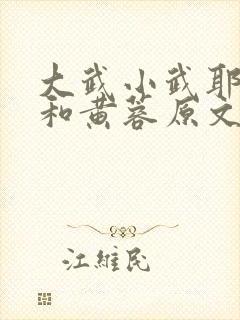 大武小武耶律齐和黄蓉原文