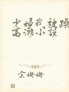 少妇我被躁爽到高潮小说