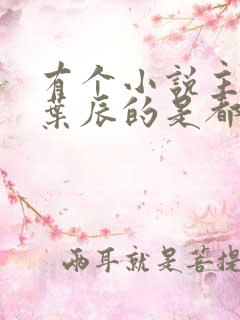 有个小说主角叫叶辰的是都市什么小说