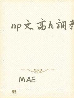 np文高h调教