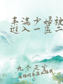丰满少妇被猛烈进入一区二区
